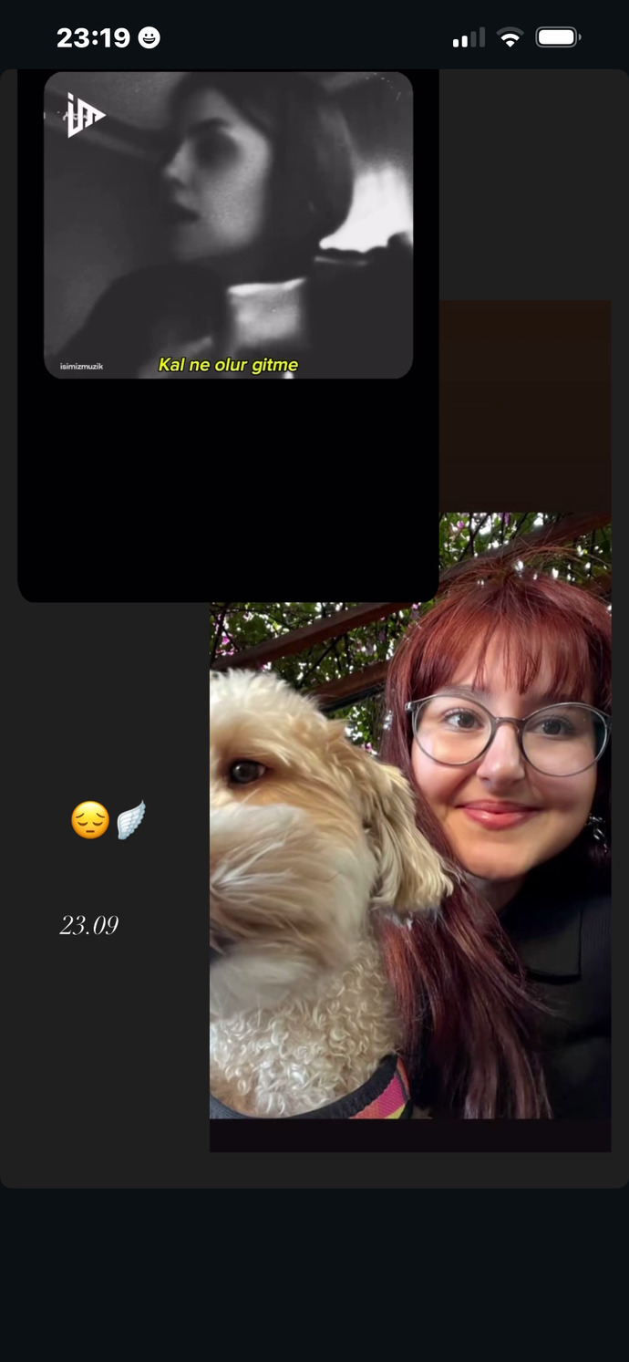 Ölüm çok soğuk değil mi?
