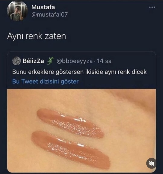 Bu iki renk gerçekten aynı mı, ekrandan mı farklı görünüyor?
