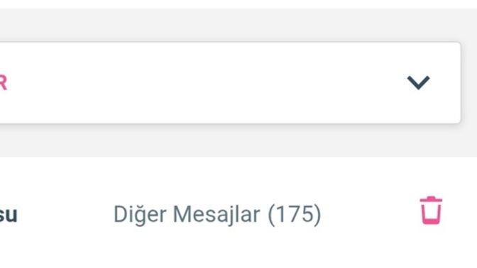 Sizin de mesaj kutunuz böyle mi?