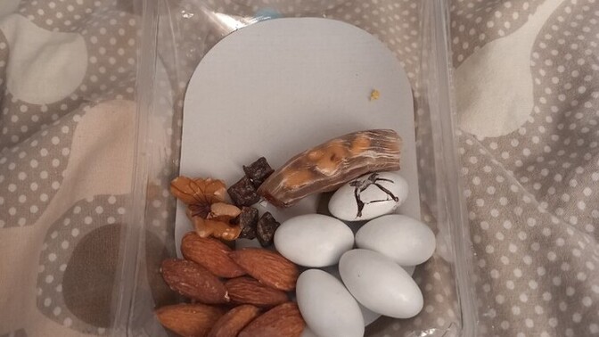 Her gün bu kadar abur cubur yemem kılo vermeye uygun mu?
