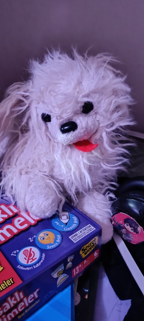 Köpeğim bozuldu , napicam?