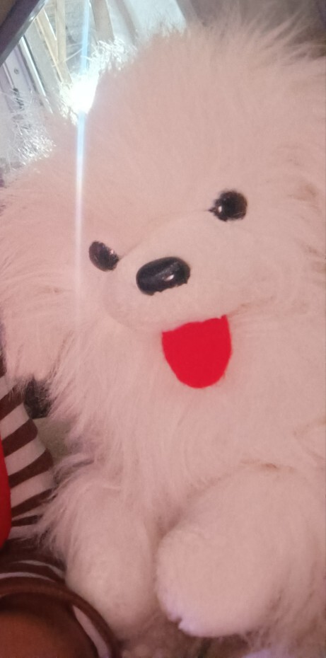 Köpeğim bozuldu , napicam?