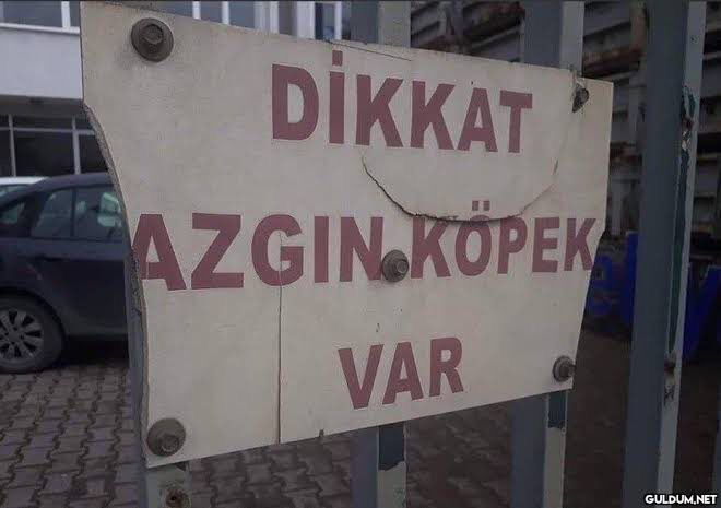 Gündüz kayıp, gece online olan flörtten hayır gelir mi?