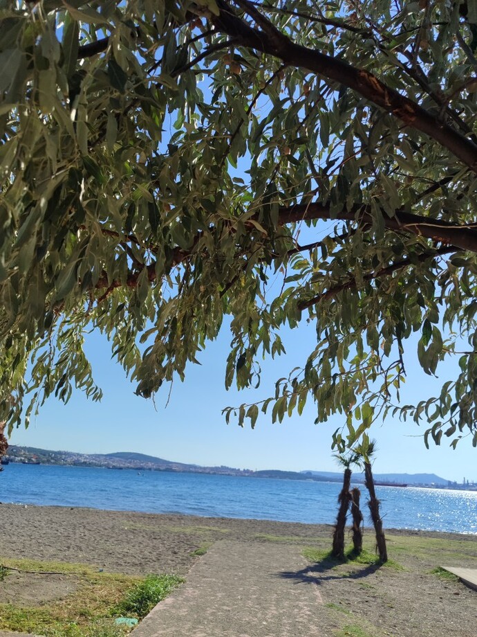 En son nereye gidip fotoğraf çektiniz?