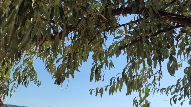 En son nereye gidip fotoğraf çektiniz?