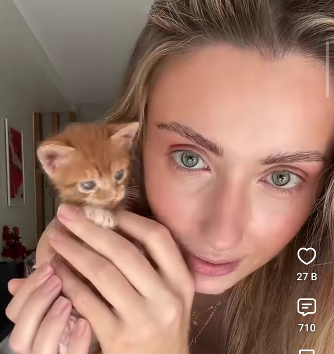 Kedilerin sahiplerine benzemesi gerçekten çok tatlı değil mi, sizin kediniz de size benziyor mu?