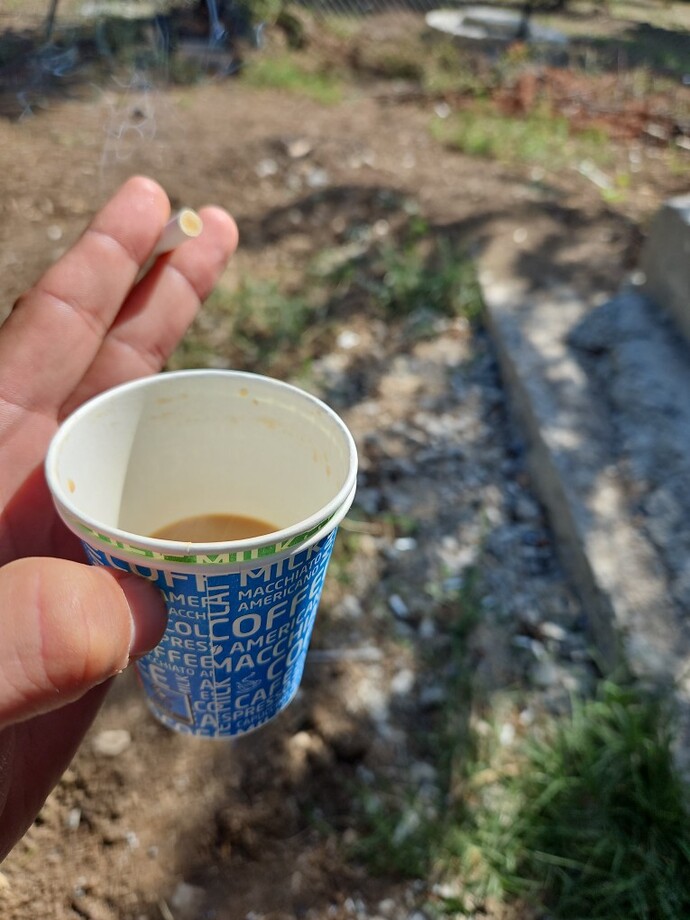 Kahveni al gel, kahve severler! Dedikoduya hazır mısınız?