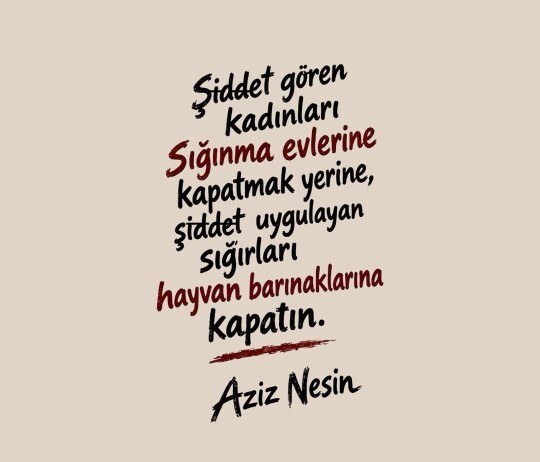 Hayatınızda hiç şiddet gördünüz mü?