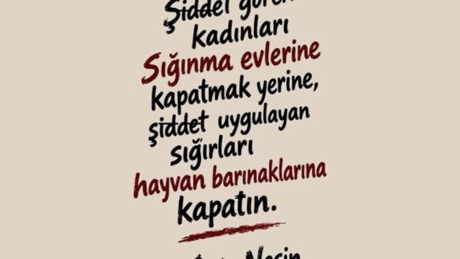 Hayatınızda hiç şiddet gördünüz mü?