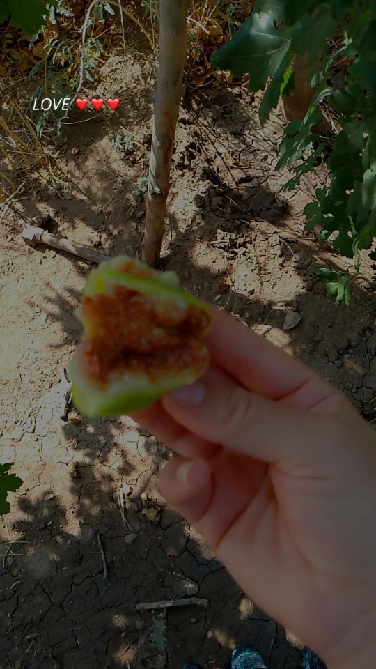 Köyünüzün güzel yanı ne?