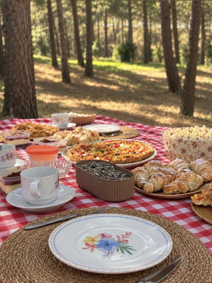 Sizinle şöyle bi piknik yapar mıydım söyliyim mi?