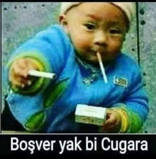 Sanalda karşı cins zannettiğiniz kişi buluşmada hemcinsiniz çıksaydı ne yapardınız?