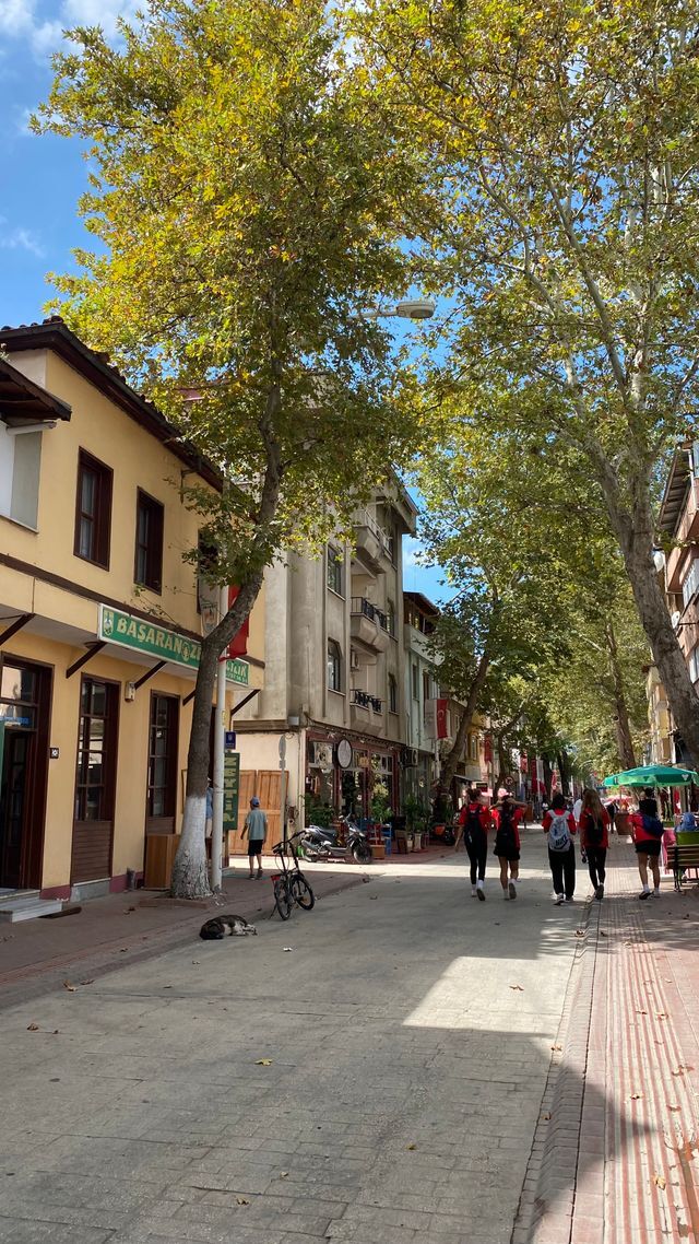Tatilde yeni yerler görmek için yolunuzu uzatır mısınız?