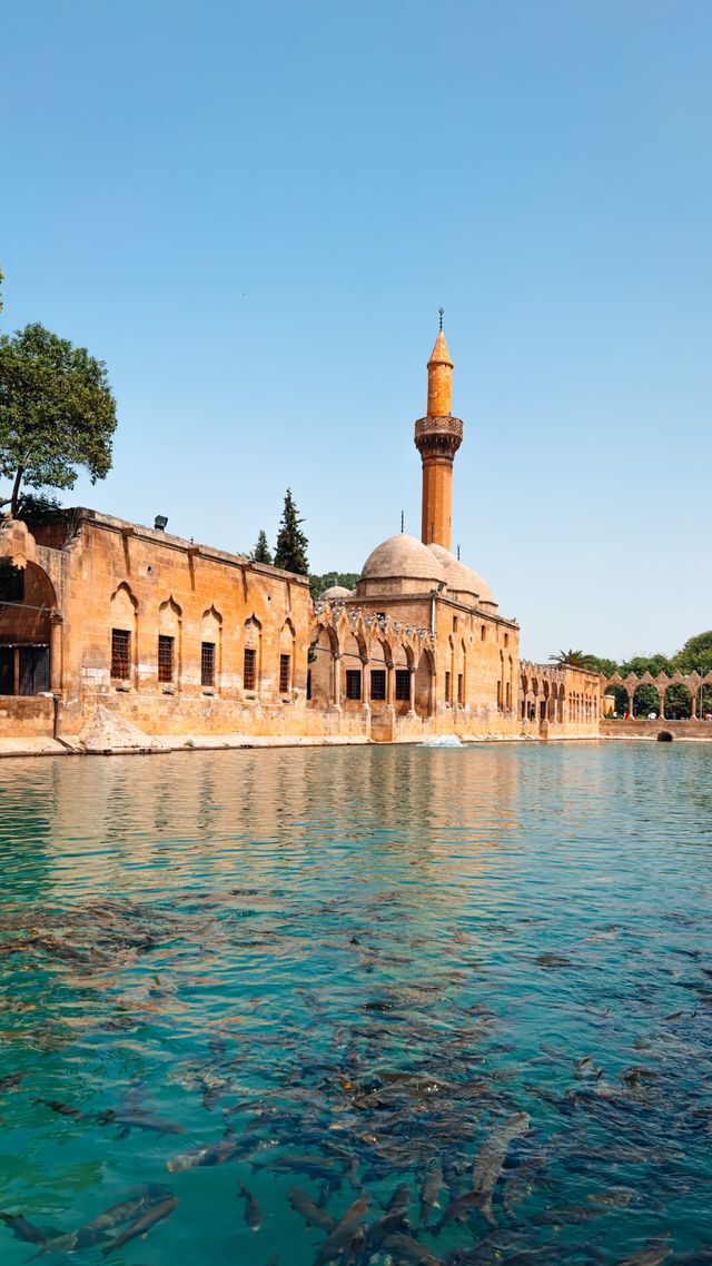Seni çeken ve orada olmaktan mutlu olduğun yerler var mı?