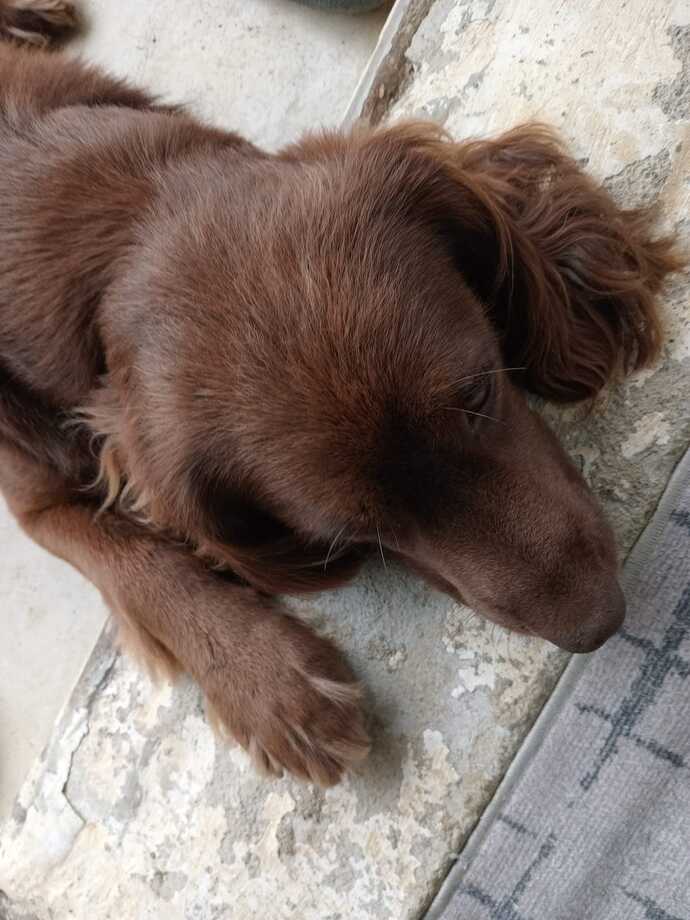 Kurban olduğum 🤎