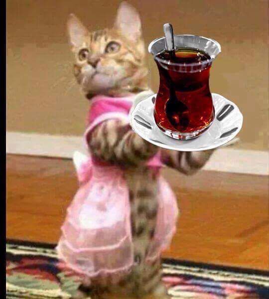 çay içen