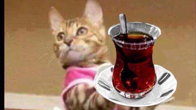Bu gün kaç bardak çay içtiniz? Çay sever misiniz?