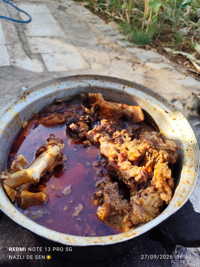 🤭🦥 #BarbieNazo #AntepFıstıklıLolipop