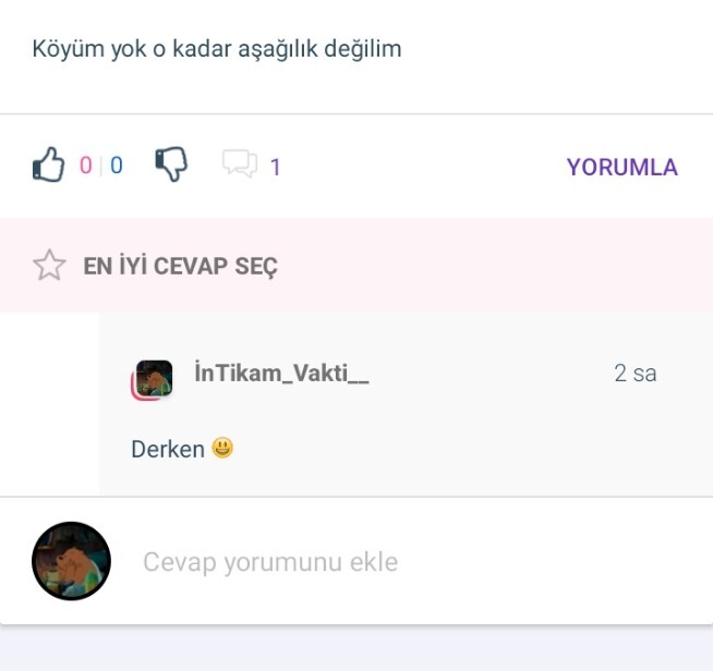 Köyümüzün olması bizi aşağılık mı yapar 😂?