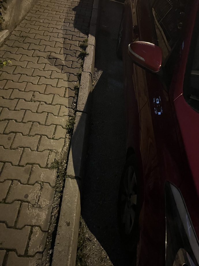 Bu sefer iyi park edebilmiş miyim?