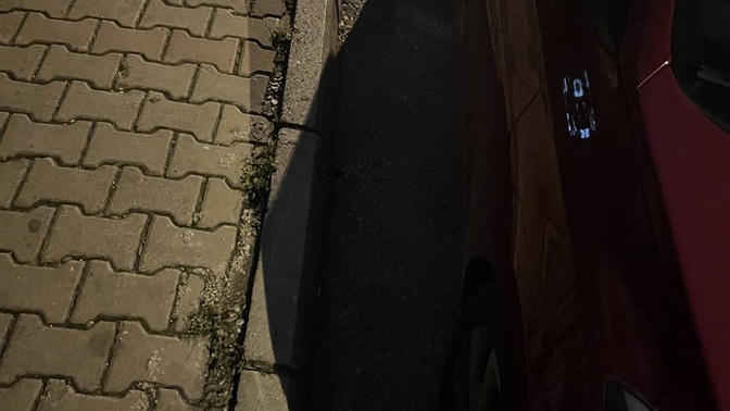 Bu sefer iyi park edebilmiş miyim?