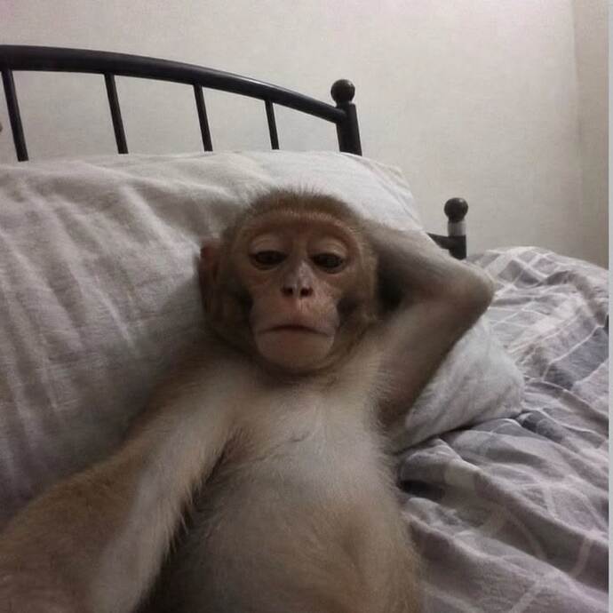 ...