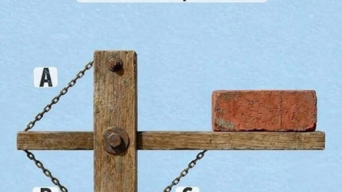 Bu soru kafamı çok karıştırdı, sizce hangi zincir kopmalı?