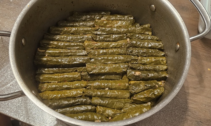 Yaa arkadaşlar bir insan nasıl her konuda bu kadar başarılı olabilir ki anlamıyorum 🤷‍♀️?