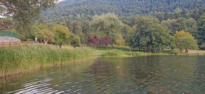 Huzur nerede bulunur?