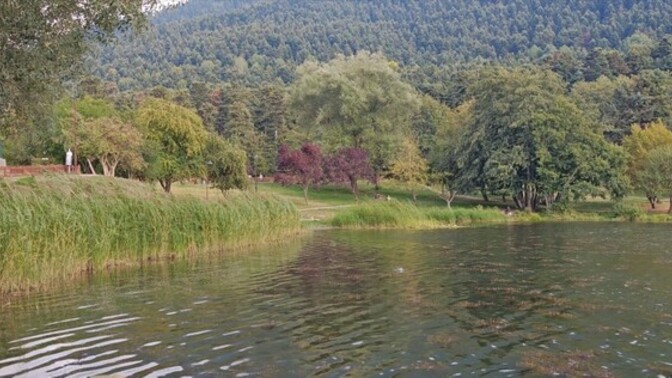Huzur nerede bulunur?