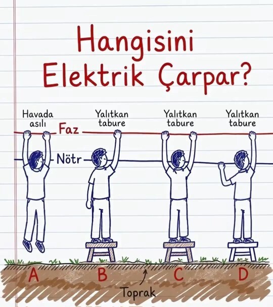 Sizce bu seçeneklerden hangisine elektrik çarpar?
