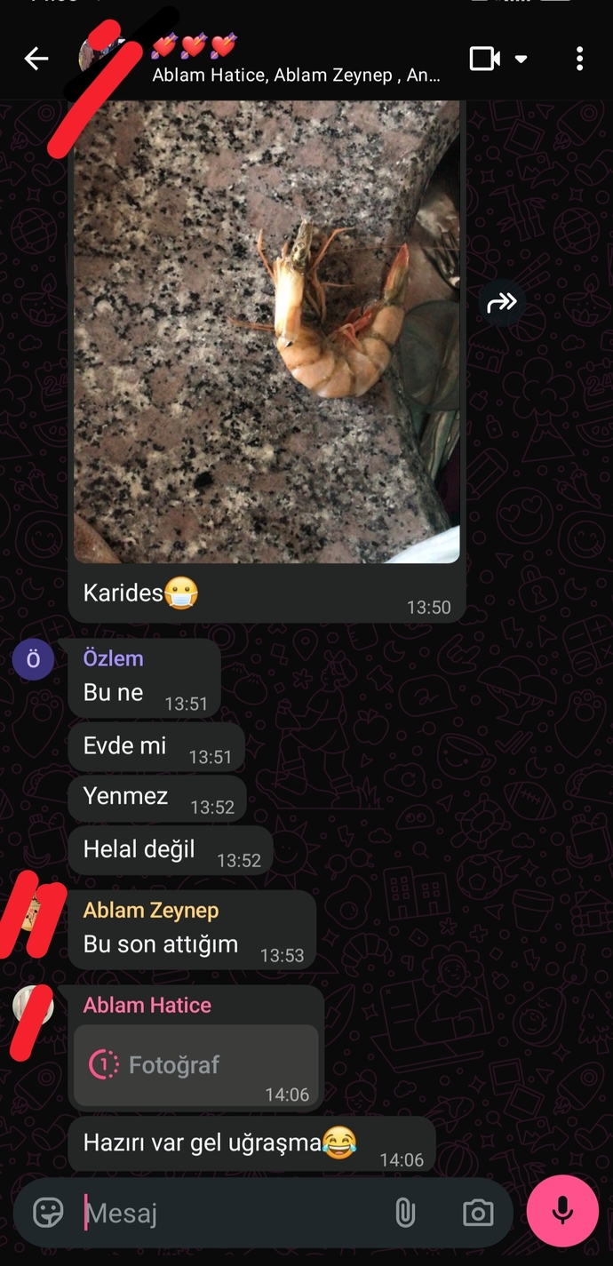 Karides gören masum köylü 😄