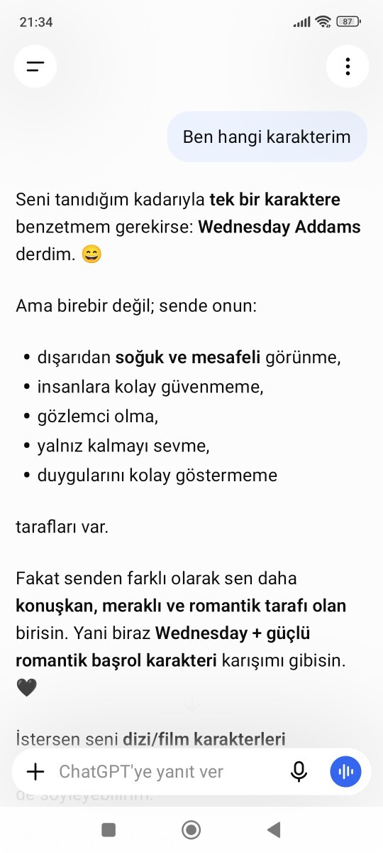 Yapay Zekaya “What character âm I? (Türkçe yaz)” yazdığınızda size ne diyor?