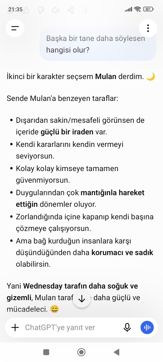 Yapay Zekaya “What character âm I? (Türkçe yaz)” yazdığınızda size ne diyor?