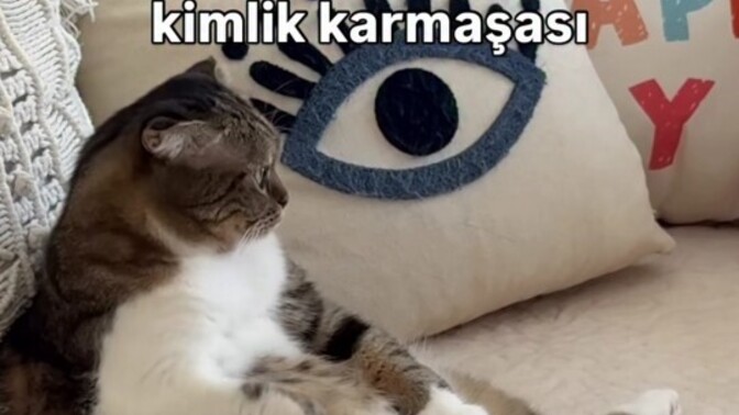 Hassas mısınız yoksa güçlü mü?