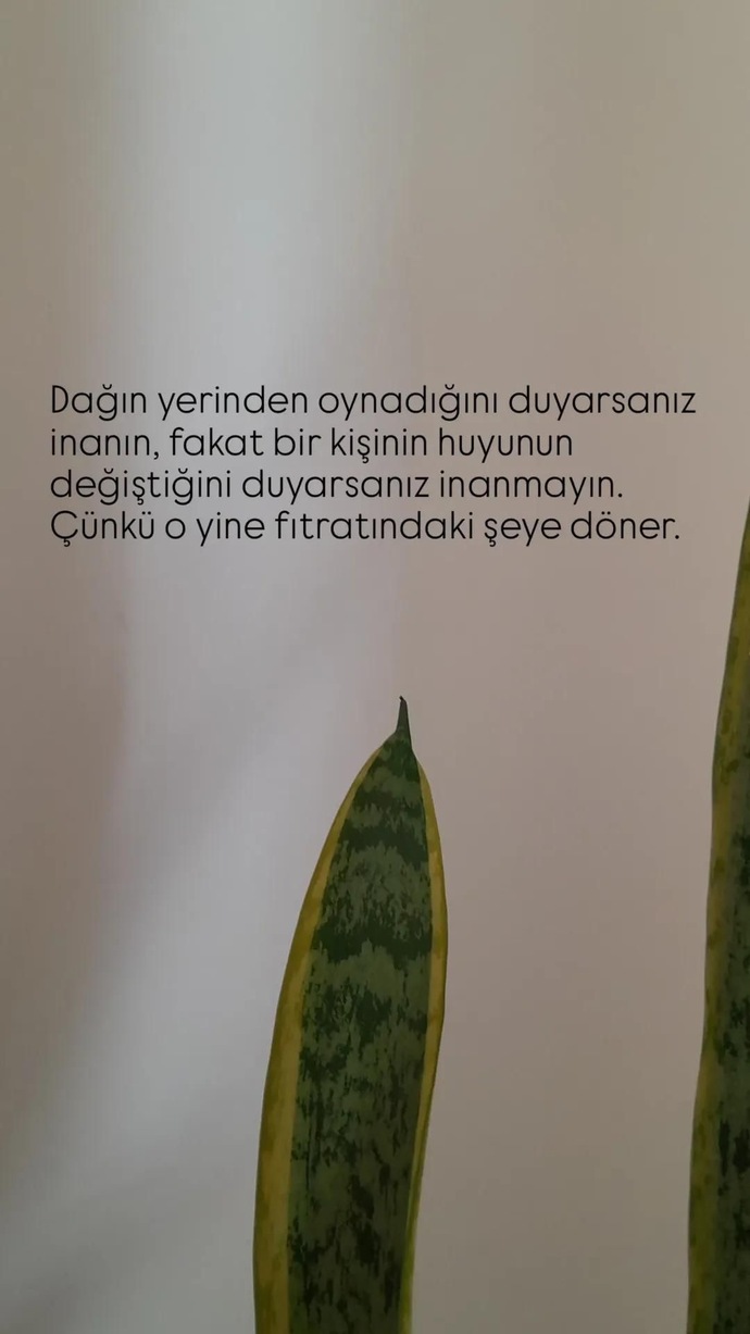 İnsanların yaş aldıkça değiştiğini düşünüyor musunuz?