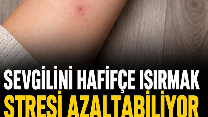 Sevgilinizi ısırır mısınız :D?
