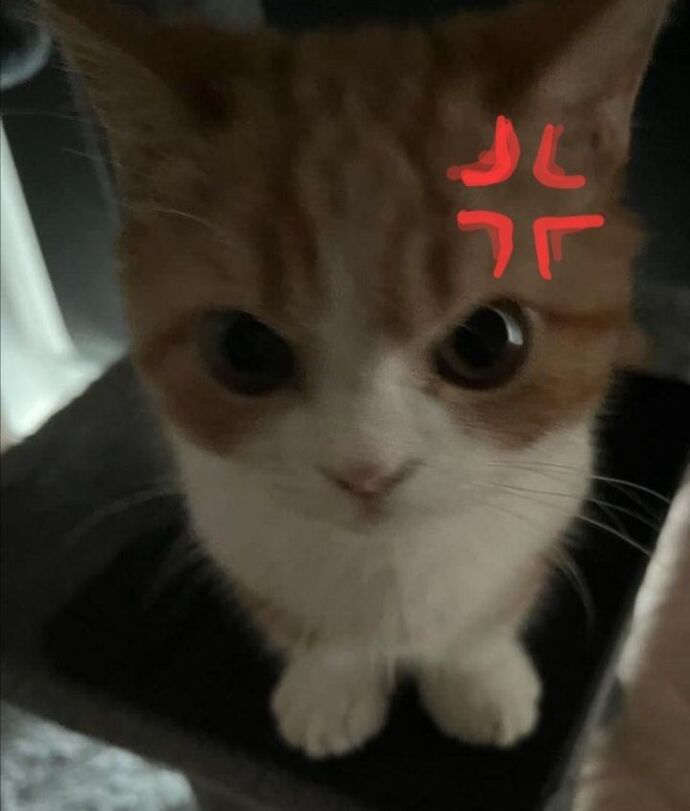 Kin tutmak gereksiz bir duygu mu?
