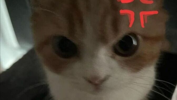 Kin tutmak gereksiz bir duygu mu?