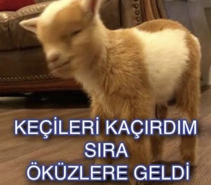 Başkalarının mutluluğunu düşünürken kendi hayatında en çok neyi kaçırdın?