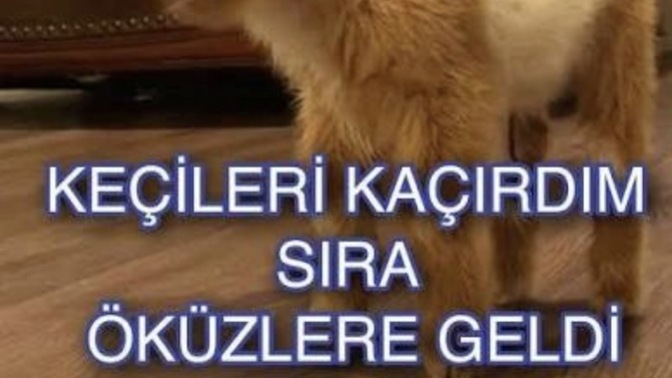 Başkalarının mutluluğunu düşünürken kendi hayatında en çok neyi kaçırdın?
