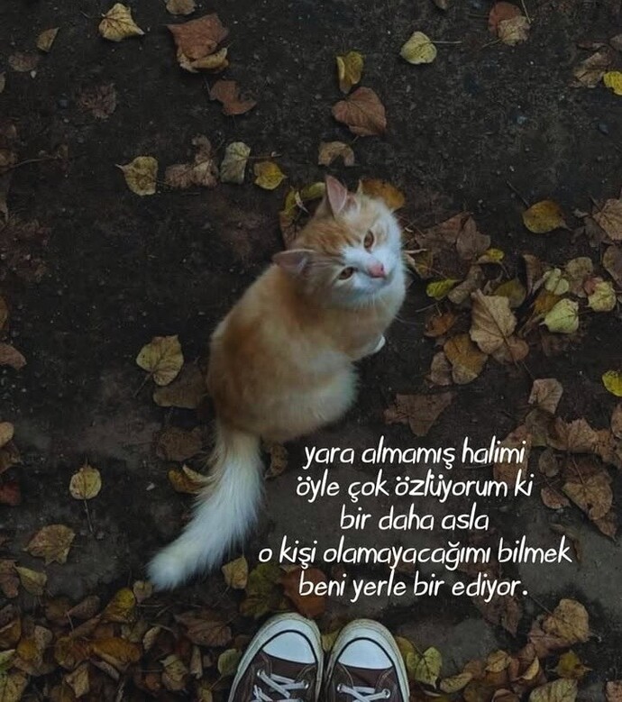 Siz en son neyin özlemini çektiniz?