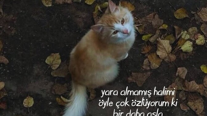 Siz en son neyin özlemini çektiniz?