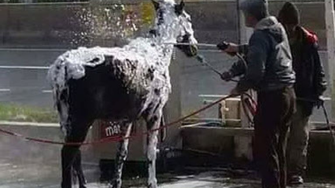 Kolay üşür müsünüz?