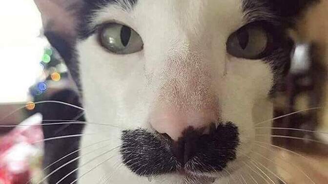 Sevdiceğiniz ile at yarışı izlemek ister miydiniz?