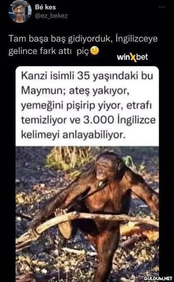 Kişisel gelişiminiz için neler yapıyorsunuz?