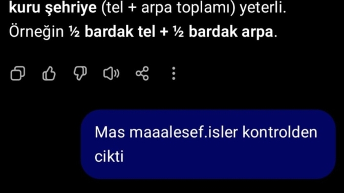 ChatGPT neden düzgün yemek tarifi vermiyor, yine aç mı kaldık?