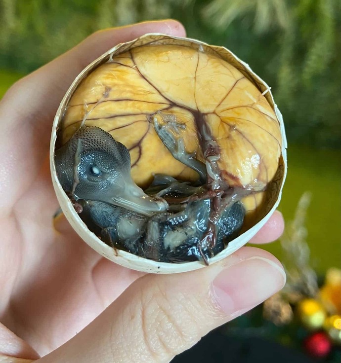 Balut yemek ister miydiniz?