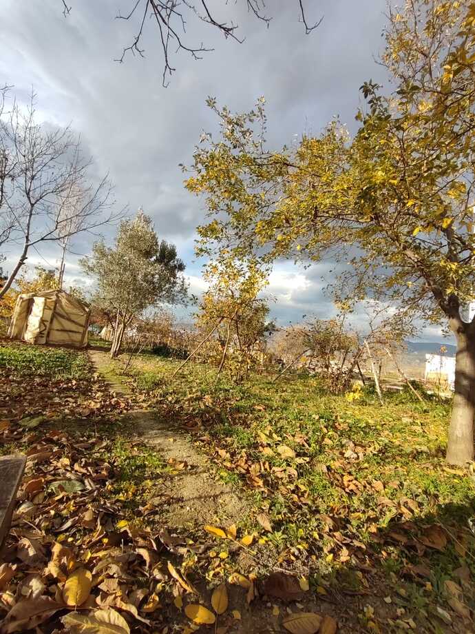“Hayatımızdan bazı şeylerin tıpkı sonbahardaki yapraklar gibi dökülmesi gerekiyor” fikrine katılıyor musunuz?