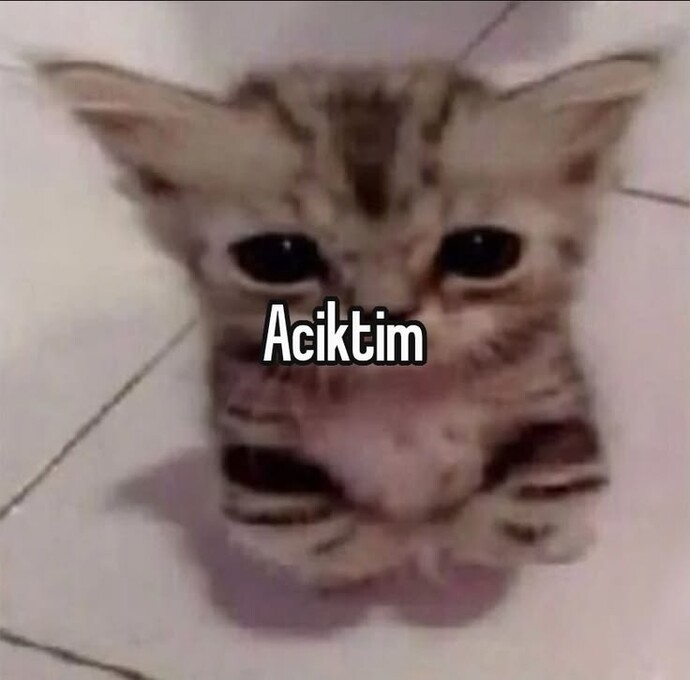 Mideniz her gördüğü yemeği aseriyor mu?